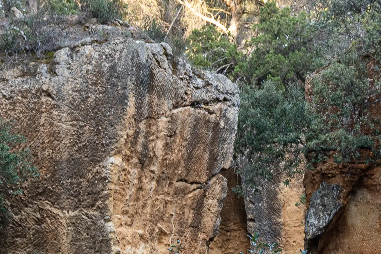 e.Paroi rocheuse ocre des carrières de Bibémus évoquant une tête de tortue. Ochre rock wall in the Bibémus quarries resembling a turtle head