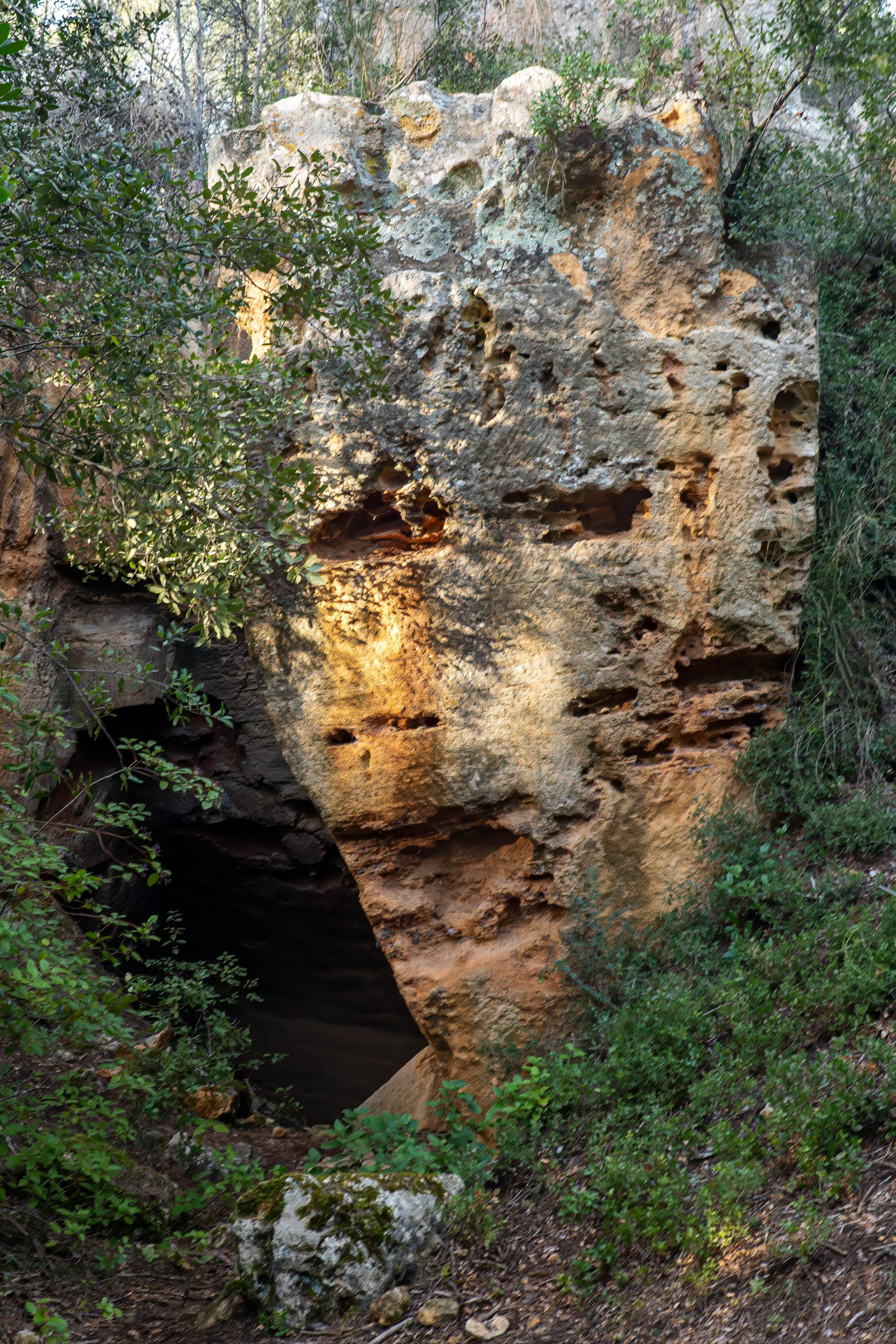 carrières de Bibémus Cézanne évoquant un visage humain avec cavités et jeux de lumière. Ochre rock wall in the Bibémus quarries resembling a human face with natural cavities and light contrasts”