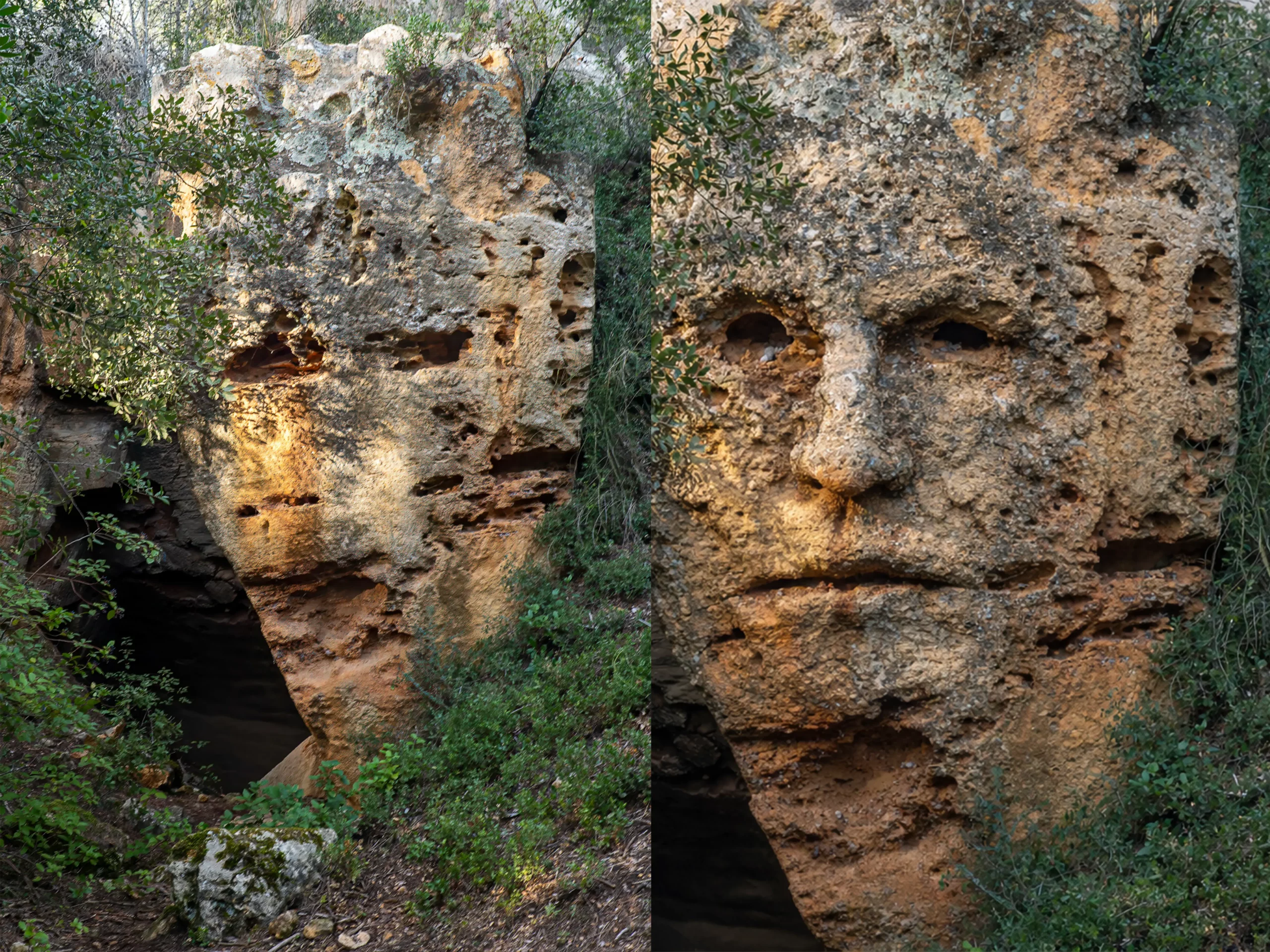 Images issue d’une photographie réelle, transformée par intelligence artificielle à partir de la structure originale.