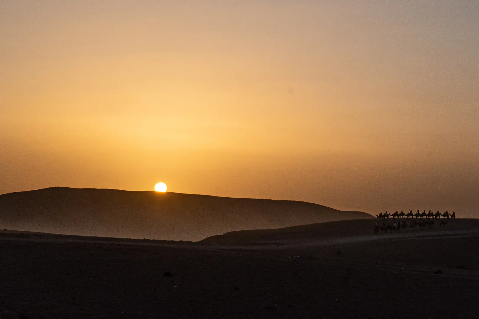 Coucher de soleil sur le désert d’Agafay avec silhouettes de dromadaires Sunset over the Agafay desert with silhouettes of camels